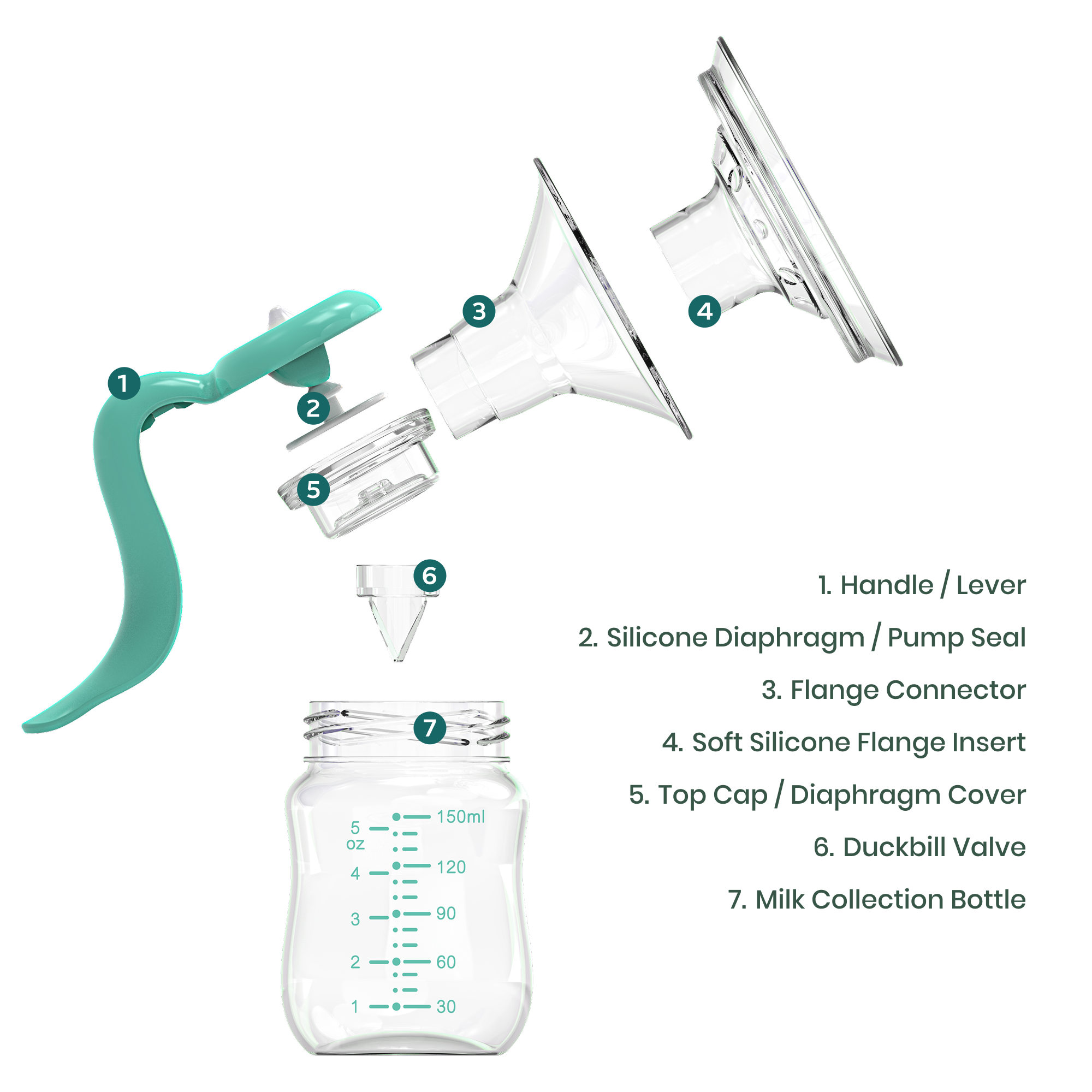 Manual EasyFlow Breast Pump