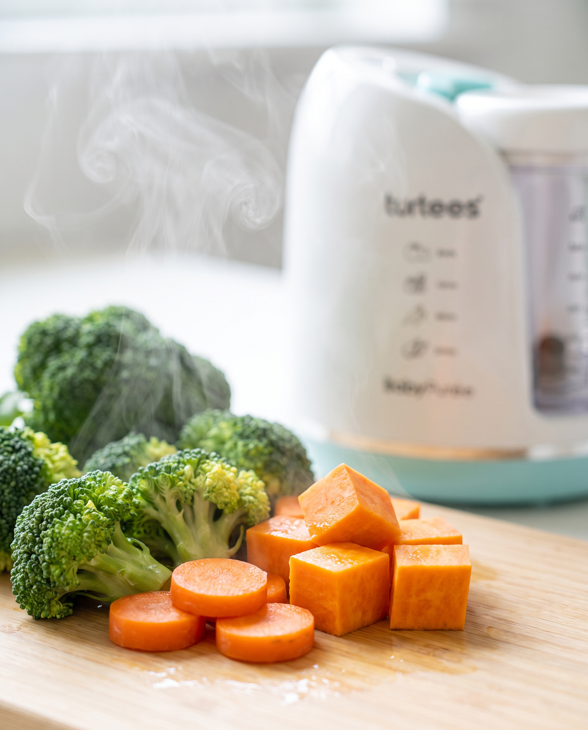turtees 4-in-1 baby food maker